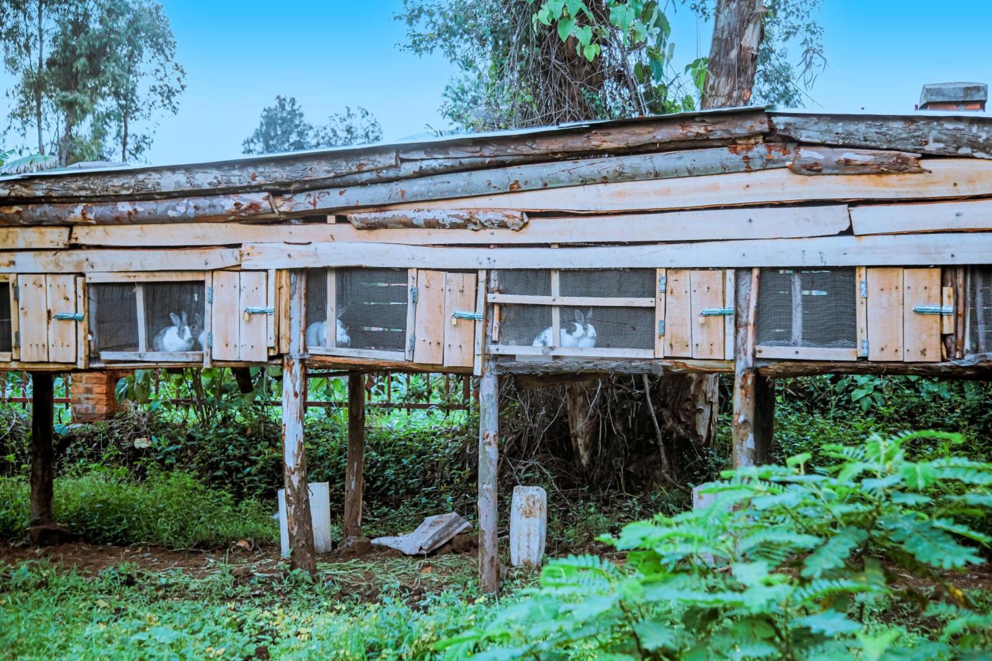 Karisimbi Cave Resort Ruhengeri Luaran gambar
